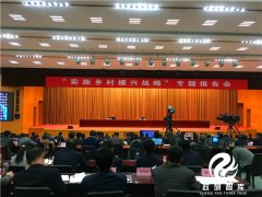 中央政策研究室经济局局长冯海发作“实施乡村振兴战略”专题辅导报告