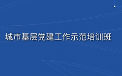 城市基层党建工作示范培训班方案